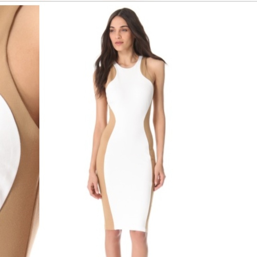 COPY - Torn by Ronnie Kobo Shiran Dress XS